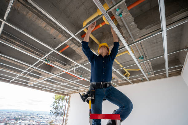Best Affordable Plumbing Services  in Mokena, IL